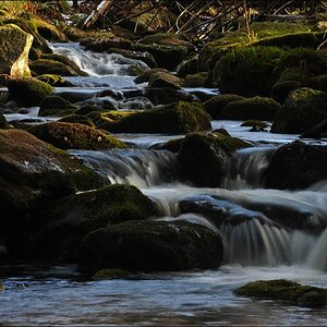 acomp Bayrischer Wald 0883