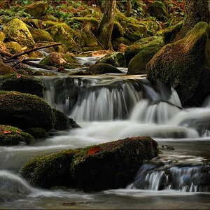 acomp Bayrischer Wald 0908