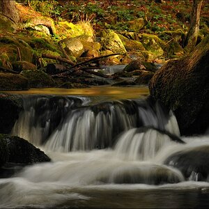 acomp Bayrischer Wald 0933