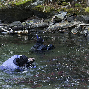 Unterwasserfotografen