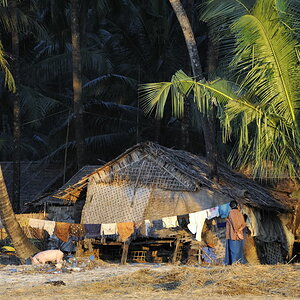 Ngapali