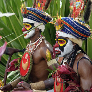 Hochlandkrieger auf dem Mount Hagen Festival