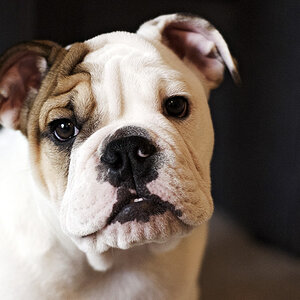 Unsere Molly