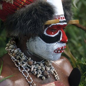 Hochlandkrieger auf dem Mount Hagen Festival