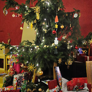 Der Baum 2010
