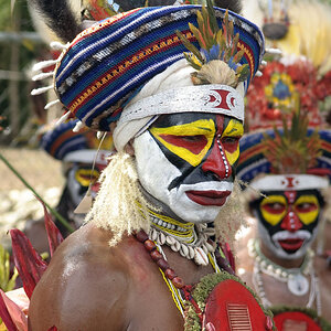 Hochlandkrier auf dem Mount Hagen Festival