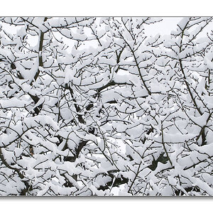 PC250163sw