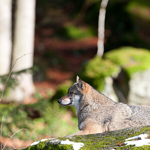 20101120 DSC 6855
