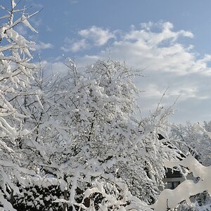 Winterstimmung

D5000 / Nikkor 18-105 VR

18.0mm / f/11.0 / 0.0020s (1/500) / ISO 200