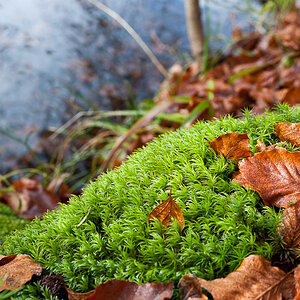 20101121 DSC 6926