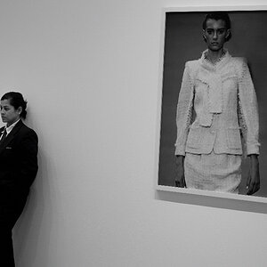 moma 1