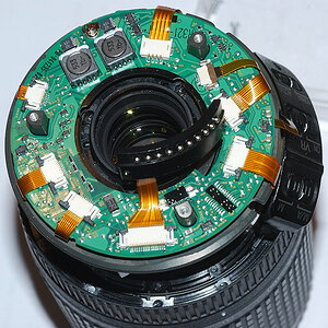 DSC 5799