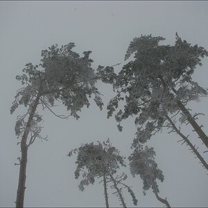comp IMG 1693