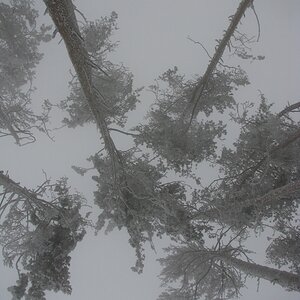 comp IMG 1698