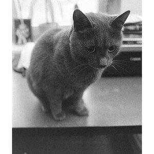 Nikon F100, Ilford Delta 3200, Nikkor 24/2.8 AiS @ f/2.8