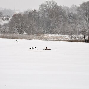 20101226 111543 01 (1)