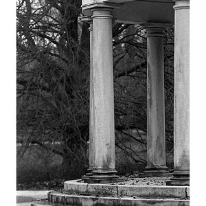 Nikon F100, Neopan 400, 135/2.8 AiS