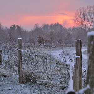 wintermorgen