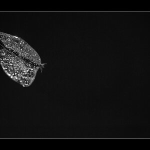EisDSC 0153