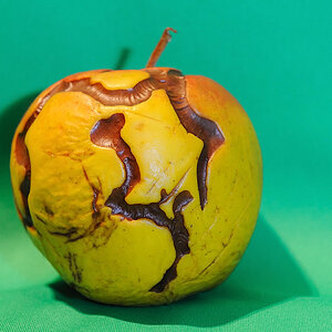 Apfel marode