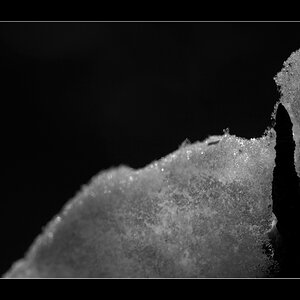 EisDSC 0157