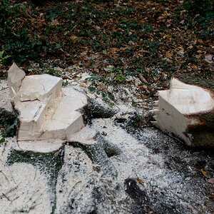 stihl3 JKK 0872