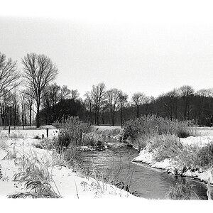 Nikon F100, Ilford PANF 50, Sigma 24-70/2.8 DG EX HSM