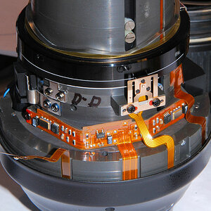 DSC 7372