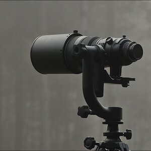 acomp Bayrischer Wald 0053