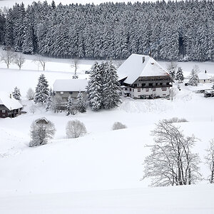 24419 Fallerhof