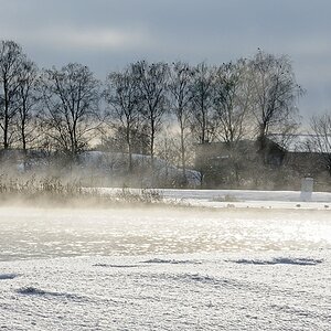 DSC 2314 nff