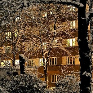 Schnee2010