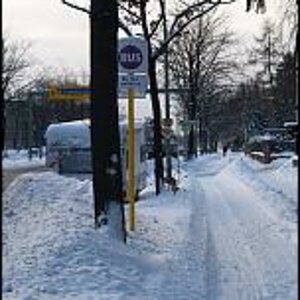 hfbus