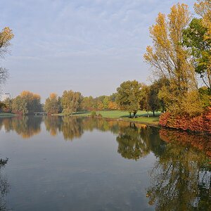 Bonn, Rheinaue im Herbst