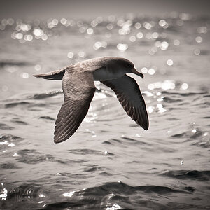 20100506 1TH 6859