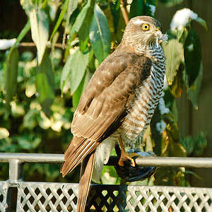 20101128 22750 [NIKON D2Xs] 400 mm,1 160 Sek. bei f   5,0 3