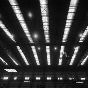 Meyer Werft Papenburg 12 / 2010