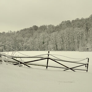 Winter im Neandertal