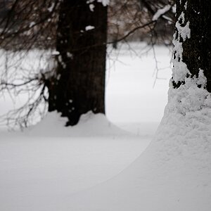 20101228 124012