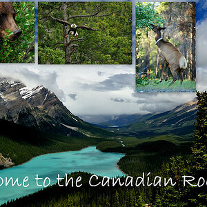 Welcome to the Canadian Rockies
