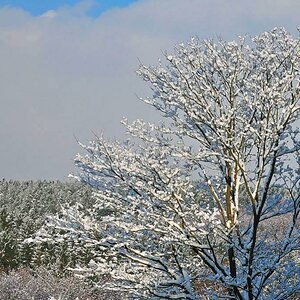 Neuschnee im Westerwald MHX 7041ASUSMx