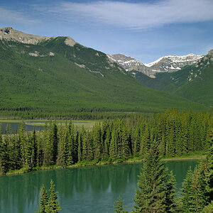 DSC 2335 NF-F
Bow River
Banff NP