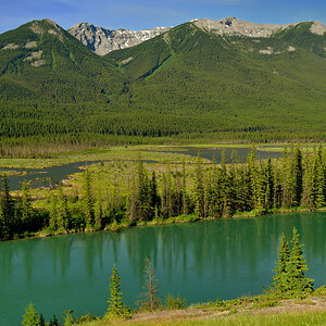 DSC 2336 NF-F
Bow River
Banff NP