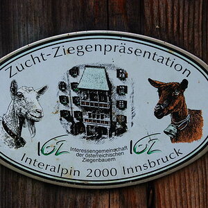 DSC 3513bf Bildgröße ändern