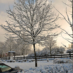 Neuschnee im Westerwald (MHX 7022AKUSMx)