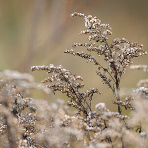 herbst JKK 0949