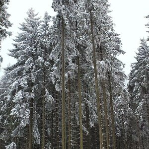 DSC 0423 Winterlandschaft 1a