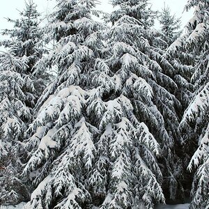 DSC 0432 Winterlandschaft a