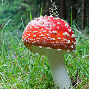 20100910 4989 Nikkor 28mm 2.8