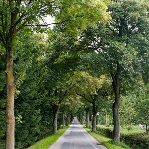 20100910 5019 Nikkor 28mm 2.8